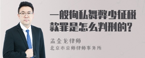 一般徇私舞弊少征税款罪是怎么判刑的?