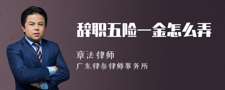 辞职五险一金怎么弄