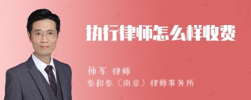 执行律师怎么样收费