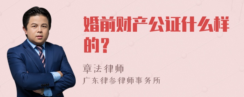 婚前财产公证什么样的？