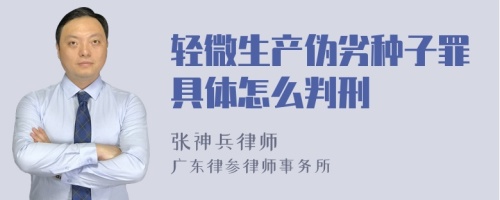 轻微生产伪劣种子罪具体怎么判刑