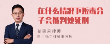 在什么情况下贩毒分子会被判处死刑