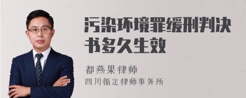 污染环境罪缓刑判决书多久生效