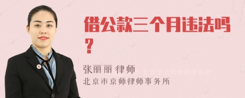 借公款三个月违法吗？