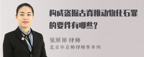 构成盗掘古脊椎动物化石罪的要件有哪些?