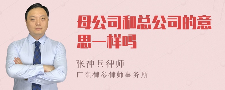 母公司和总公司的意思一样吗