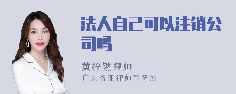 法人自己可以注销公司吗