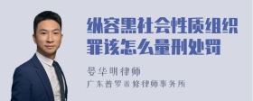 纵容黑社会性质组织罪该怎么量刑处罚