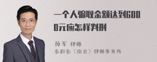 一个人骗取金额达到6000元应怎样判刑