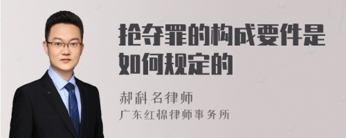 抢夺罪的构成要件是如何规定的