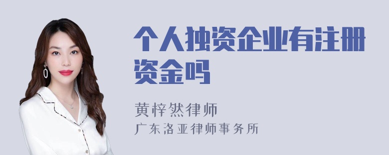 个人独资企业有注册资金吗