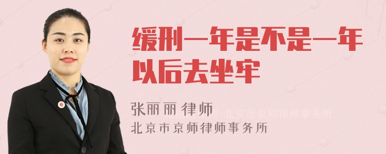 缓刑一年是不是一年以后去坐牢