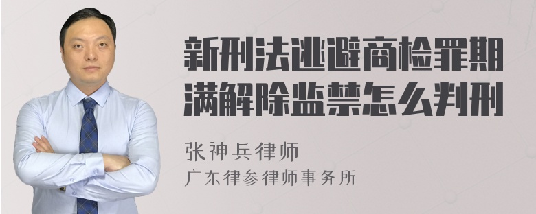 新刑法逃避商检罪期满解除监禁怎么判刑