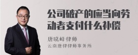 公司破产的应当向劳动者支付什么补偿