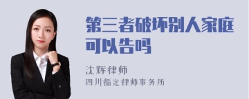 第三者破坏别人家庭可以告吗