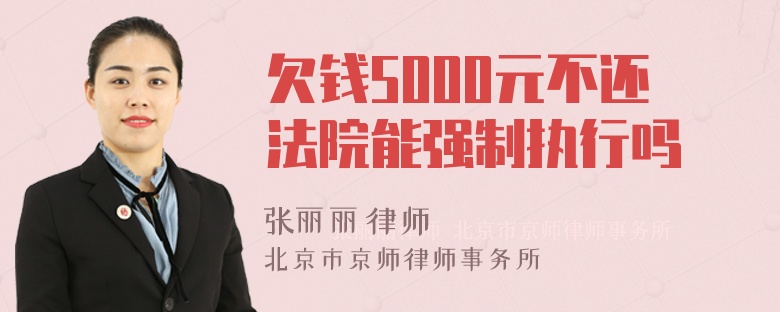 欠钱5000元不还法院能强制执行吗