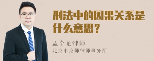 刑法中的因果关系是什么意思？