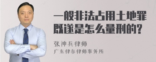 一般非法占用土地罪既遂是怎么量刑的?