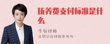 抚养费支付标准是什么