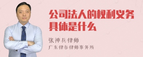 公司法人的权利义务具体是什么