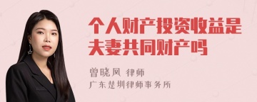 个人财产投资收益是夫妻共同财产吗