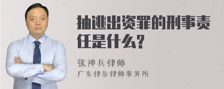 抽逃出资罪的刑事责任是什么?