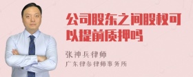 公司股东之间股权可以提前质押吗