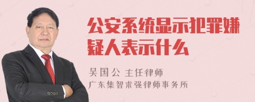 公安系统显示犯罪嫌疑人表示什么