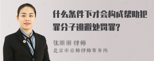 什么条件下才会构成帮助犯罪分子逃避处罚罪?