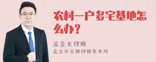 农村一户多宅基地怎么办？