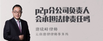 p2p分公司负责人会承担法律责任吗