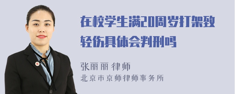 在校学生满20周岁打架致轻伤具体会判刑吗