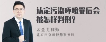 认定污染环境罪后会被怎样判刑?