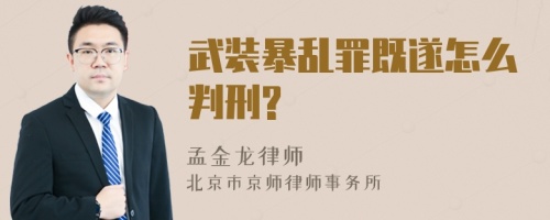 武装暴乱罪既遂怎么判刑?