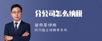 分公司怎么纳税