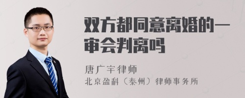 双方都同意离婚的一审会判离吗