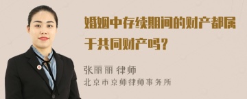 婚姻中存续期间的财产都属于共同财产吗？