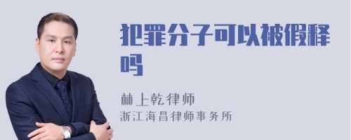 犯罪分子可以被假释吗