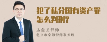 犯了私分国有资产罪怎么判刑?