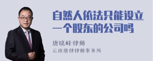 自然人依法只能设立一个股东的公司吗