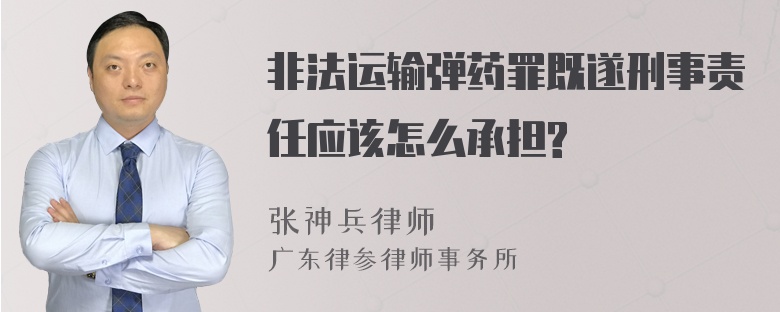 非法运输弹药罪既遂刑事责任应该怎么承担?