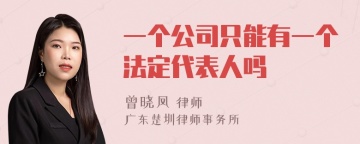 一个公司只能有一个法定代表人吗