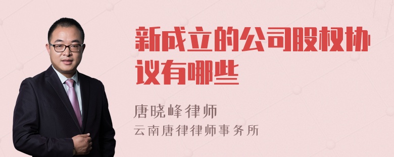 新成立的公司股权协议有哪些