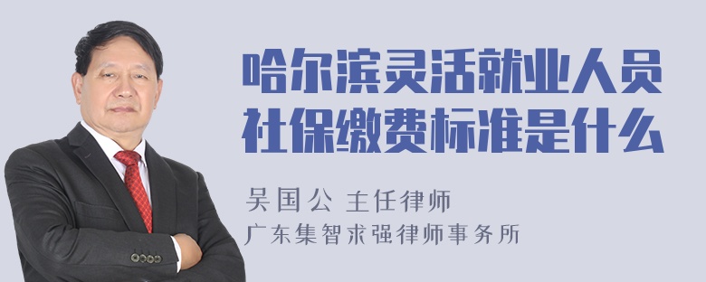 哈尔滨灵活就业人员社保缴费标准是什么