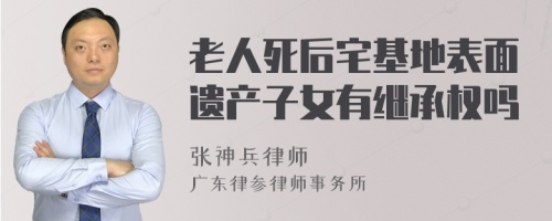 老人死后宅基地表面遗产子女有继承权吗