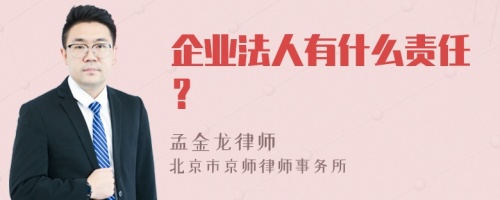 企业法人有什么责任？