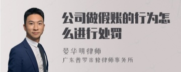 公司做假账的行为怎么进行处罚