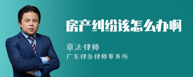 房产纠纷该怎么办啊