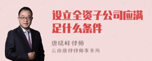 设立全资子公司应满足什么条件