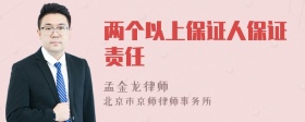 两个以上保证人保证责任